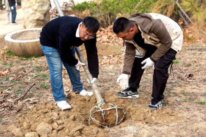 春風(fēng)十里，植下一片綠 | 瑞源控股集團(tuán)開展2023年植樹節(jié)系列活動(dòng)